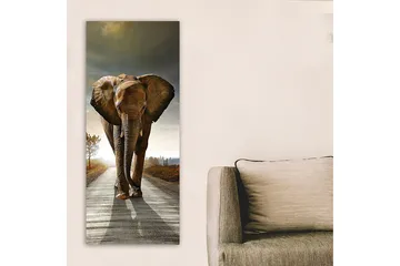 Canvastavla DKY Animals Flerfärgad - 50x120 cm - Inredning & dekor - Tavlor & konst - Canvastavla