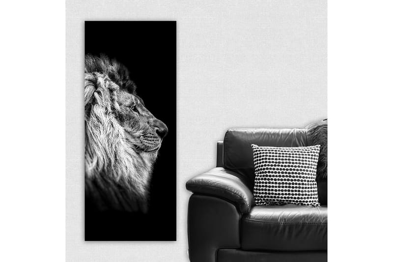 Canvastavla DKY Animals Flerfärgad - 50x120 cm - Inredning & dekor - Tavlor & konst - Canvastavla