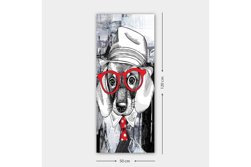 Canvastavla DKY Animals Flerfärgad - 50x120 cm - Inredning & dekor - Tavlor & konst - Canvastavla