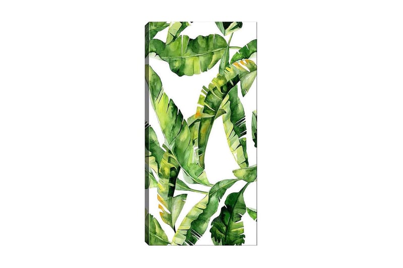 Canvastavla DKY Floral & Botanical Flerfärgad - 50x120 cm - Inredning & dekor - Tavlor & konst - Canvastavla