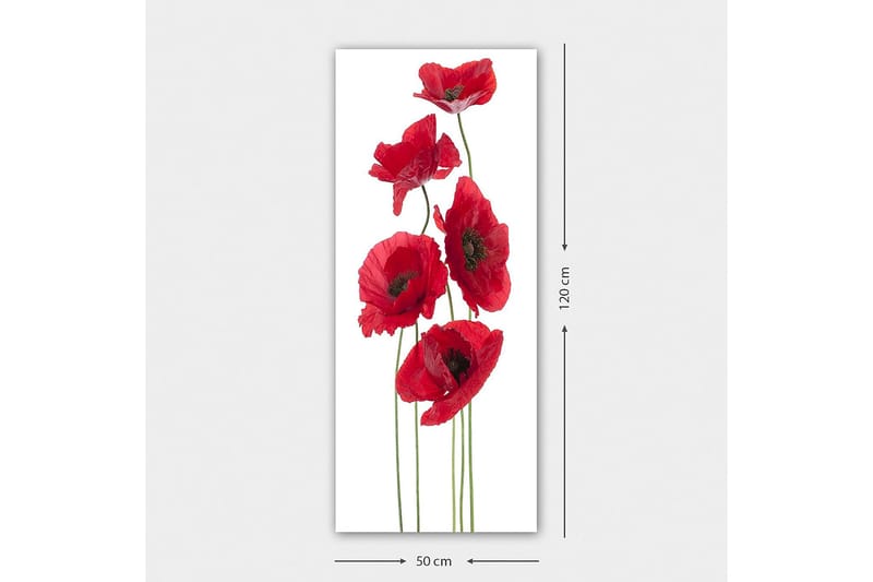 CANVASTAVLA DKY Floral & Botanical Flerfärgad 50x120 cm - Inredning & dekor - Tavlor & konst - Canvastavla