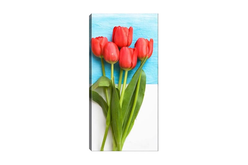 CANVASTAVLA DKY Floral & Botanical Flerfärgad 50x120 cm - Inredning & dekor - Tavlor & konst - Canvastavla