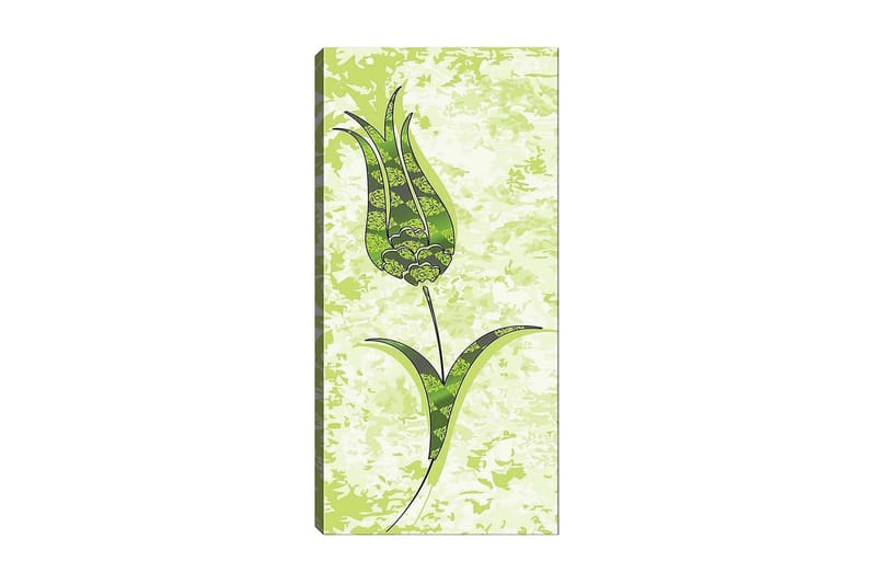CANVASTAVLA DKY Floral & Botanical Flerfärgad 50x120 cm - Inredning & dekor - Tavlor & konst - Canvastavla