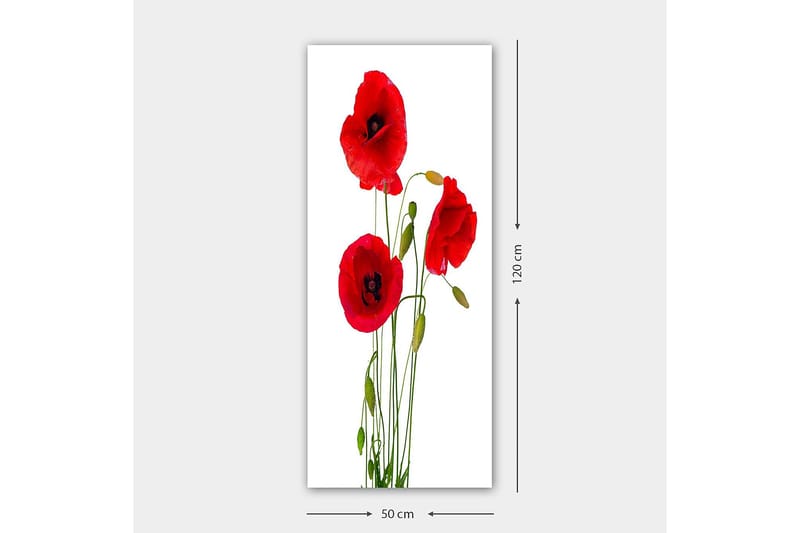 CANVASTAVLA DKY Floral & Botanical Flerfärgad 50x120 cm - Inredning & dekor - Tavlor & konst - Canvastavla