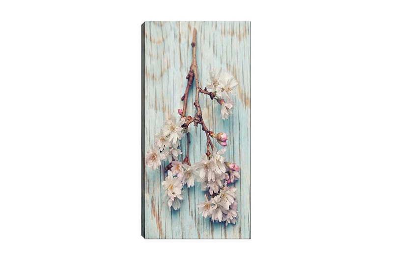 CANVASTAVLA DKY Floral & Botanical Flerfärgad 50x120 cm - Inredning & dekor - Tavlor & konst - Canvastavla