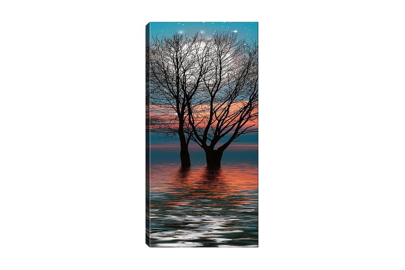 CANVASTAVLA DKY Floral & Botanical Flerfärgad 50x120 cm - Inredning & dekor - Tavlor & konst - Canvastavla