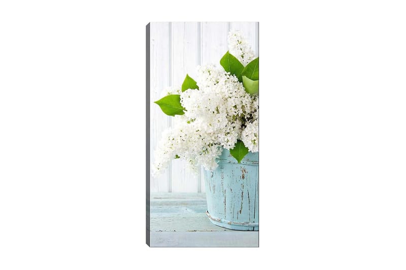CANVASTAVLA DKY Floral & Botanical Flerfärgad 50x120 cm - Inredning & dekor - Tavlor & konst - Canvastavla
