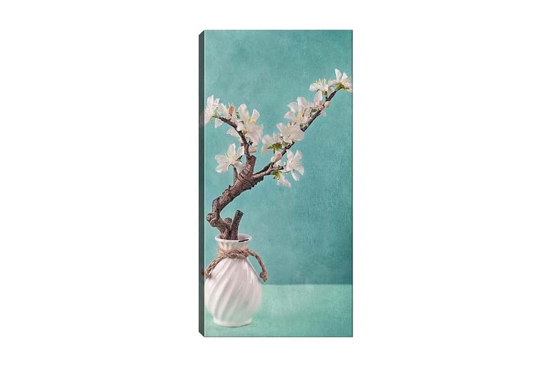 CANVASTAVLA DKY Floral & Botanical Flerfärgad 50x120 cm - Inredning & dekor - Tavlor & konst - Canvastavla