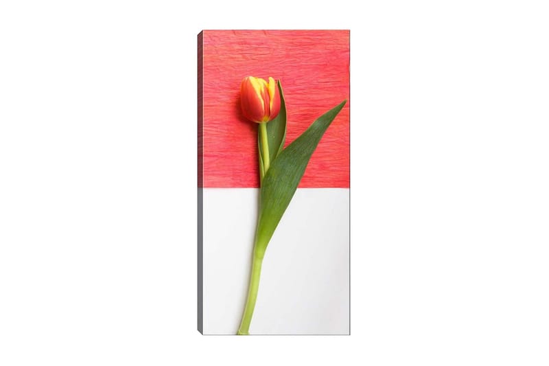 CANVASTAVLA DKY Floral & Botanical Flerfärgad 50x120 cm - Inredning & dekor - Tavlor & konst - Canvastavla
