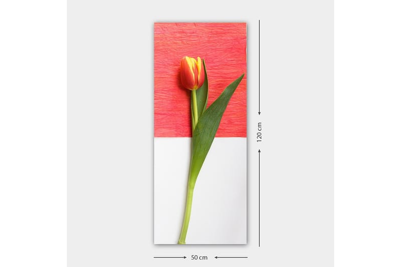 CANVASTAVLA DKY Floral & Botanical Flerfärgad 50x120 cm - Inredning & dekor - Tavlor & konst - Canvastavla