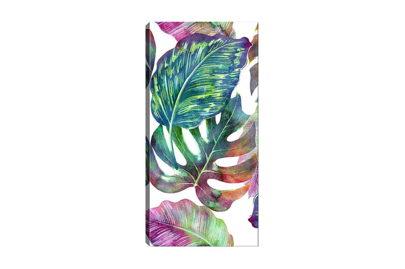 CANVASTAVLA DKY Floral & Botanical Flerfärgad 50x120 cm - Inredning & dekor - Tavlor & konst - Canvastavla