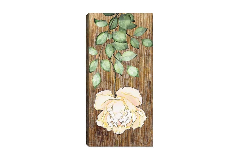 CANVASTAVLA DKY Floral & Botanical Flerfärgad 50x120 cm - Inredning & dekor - Tavlor & konst - Canvastavla