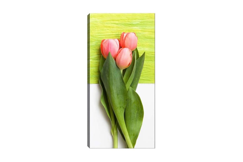 CANVASTAVLA DKY Floral & Botanical Flerfärgad 50x120 cm - Inredning & dekor - Tavlor & konst - Canvastavla
