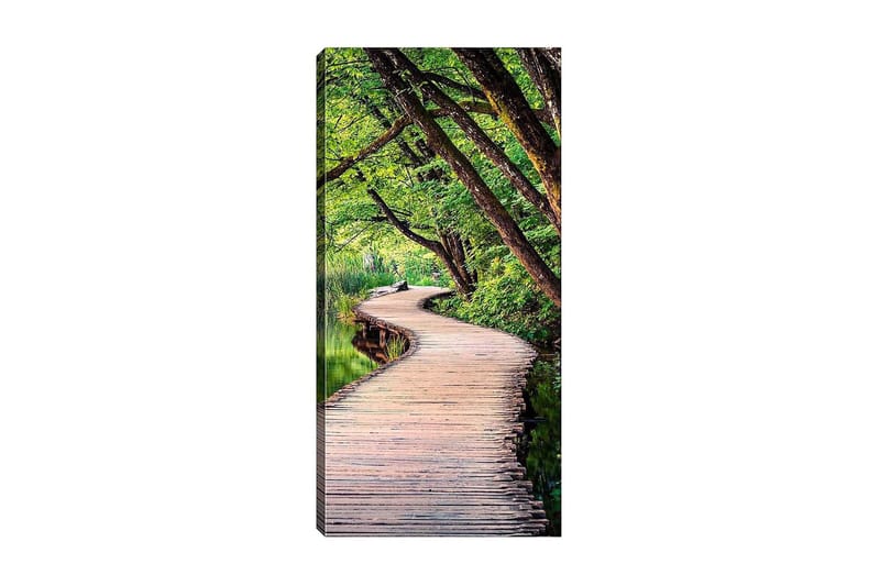 CANVASTAVLA DKY Floral & Botanical Flerfärgad 50x120 cm - Inredning & dekor - Tavlor & konst - Canvastavla