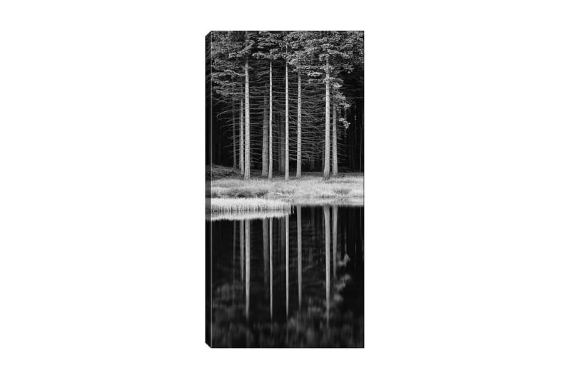 CANVASTAVLA DKY Floral & Botanical Flerfärgad 50x120 cm - Inredning & dekor - Tavlor & konst - Canvastavla