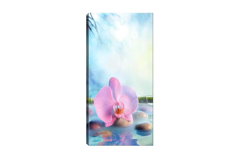 CANVASTAVLA DKY Floral & Botanical Flerfärgad 50x120 cm - Inredning & dekor - Tavlor & konst - Canvastavla