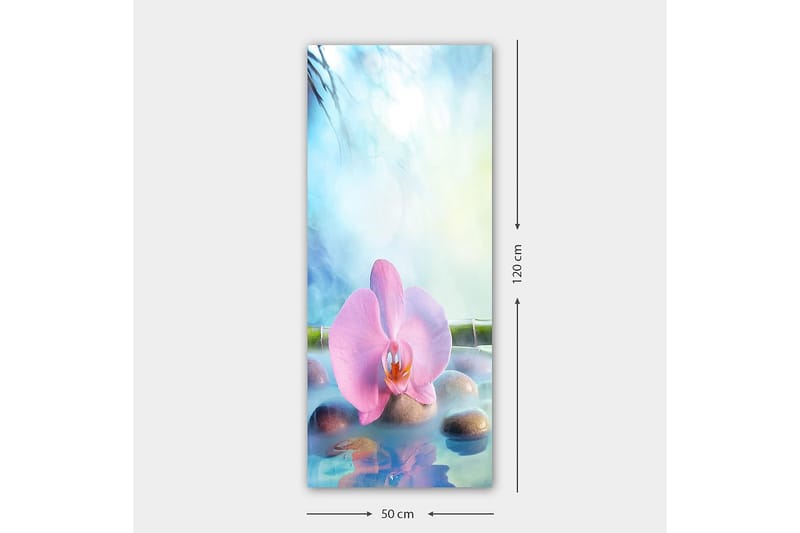 CANVASTAVLA DKY Floral & Botanical Flerfärgad 50x120 cm - Inredning & dekor - Tavlor & konst - Canvastavla