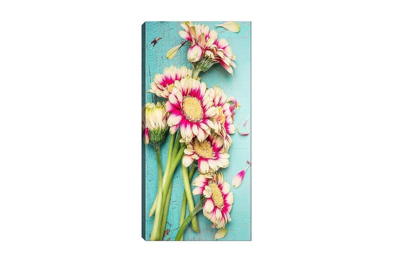 CANVASTAVLA DKY Floral & Botanical Flerfärgad 50x120 cm - Inredning & dekor - Tavlor & konst - Canvastavla