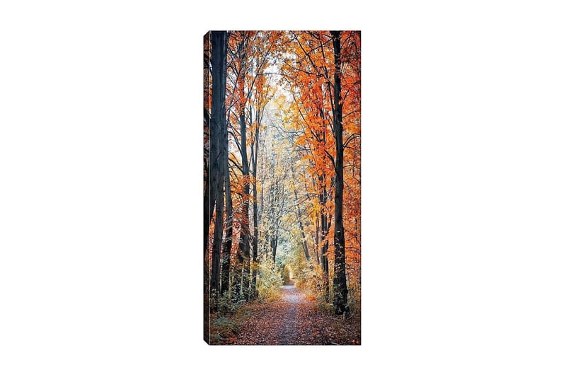 CANVASTAVLA DKY Floral & Botanical Flerfärgad 50x120 cm - Inredning & dekor - Tavlor & konst - Canvastavla