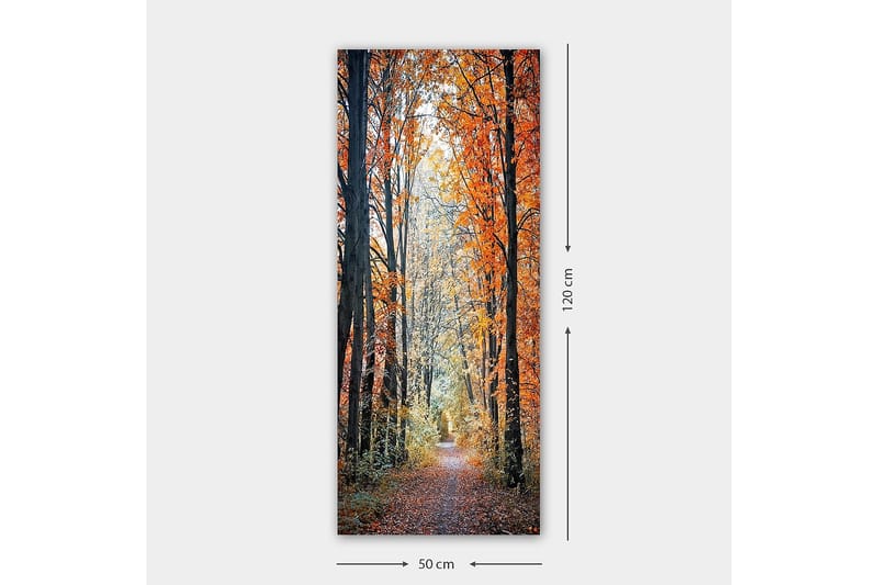CANVASTAVLA DKY Floral & Botanical Flerfärgad 50x120 cm - Inredning & dekor - Tavlor & konst - Canvastavla