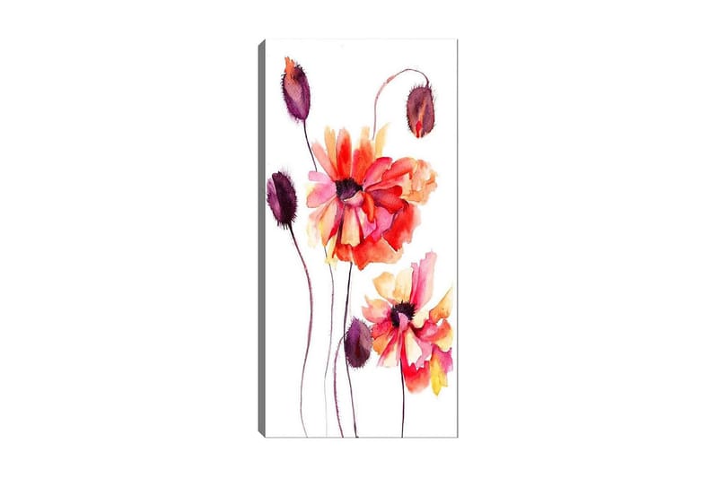 CANVASTAVLA DKY Floral & Botanical Flerfärgad 50x120 cm - Inredning & dekor - Tavlor & konst - Canvastavla