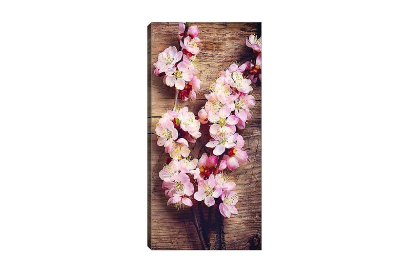CANVASTAVLA DKY Floral & Botanical Flerfärgad 50x120 cm - Inredning & dekor - Tavlor & konst - Canvastavla