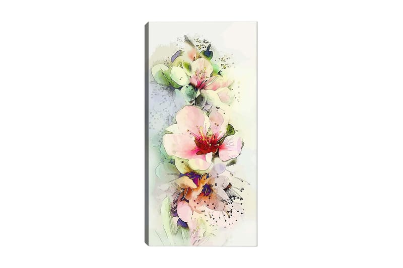 CANVASTAVLA DKY Floral & Botanical Flerfärgad 50x120 cm - Inredning & dekor - Tavlor & konst - Canvastavla