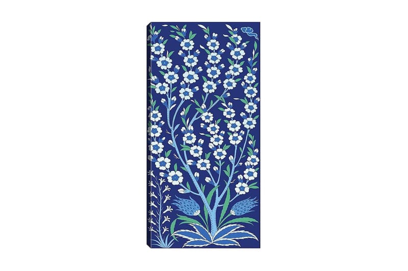 CANVASTAVLA DKY Floral & Botanical Flerfärgad 50x120 cm - Inredning & dekor - Tavlor & konst - Canvastavla