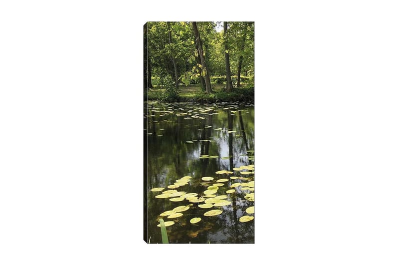 Canvastavla DKY Floral & Botanical Flerfärgad, 50x120 cm