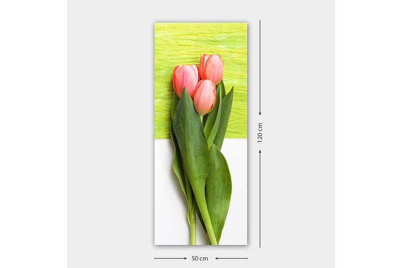 Canvastavla DKY Floral & Botanical Flerfärgad - 50x120 cm - Inredning & dekor - Tavlor & konst - Canvastavla
