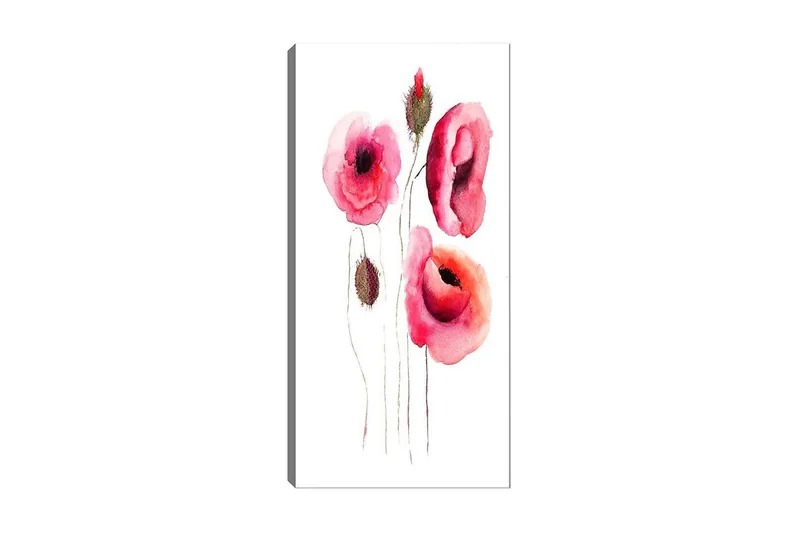 Canvastavla DKY Floral & Botanical Flerfärgad, 50x120 cm
