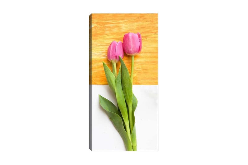 Canvastavla DKY Floral & Botanical Flerfärgad - 50x120 cm - Inredning & dekor - Tavlor & konst - Canvastavla