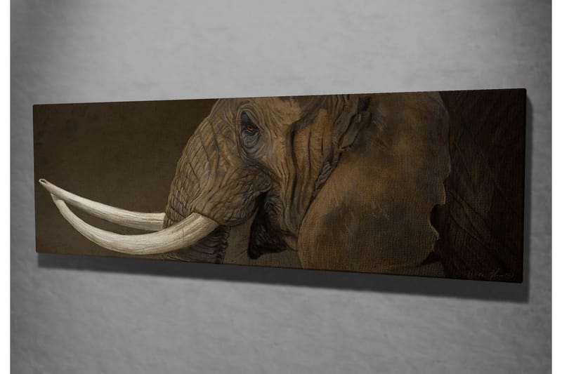 Canvastavla Elefant med betar - Grå/Vit - Inredning & dekor - Tavlor & konst - Canvastavla