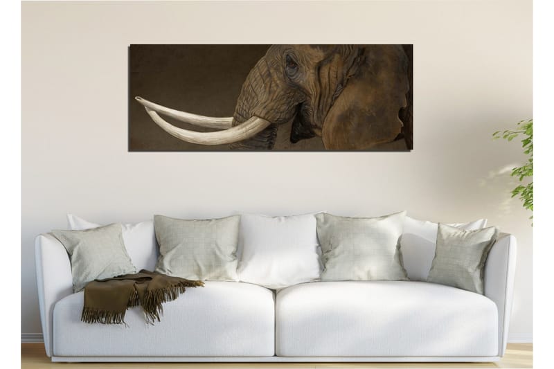Canvastavla Elefant med betar - Grå/Vit - Inredning & dekor - Tavlor & konst - Canvastavla