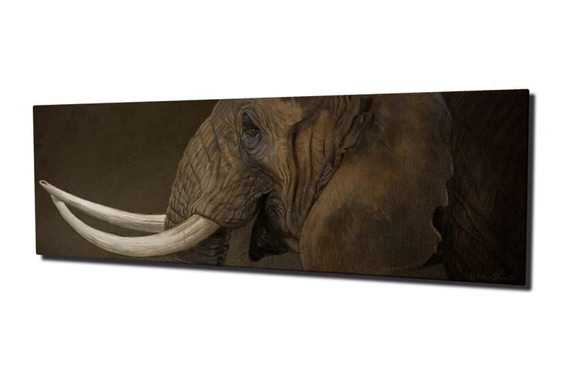 Canvastavla Elefant med betar - Grå/Vit - Inredning & dekor - Tavlor & konst - Canvastavla