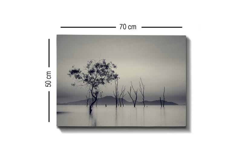 Canvastavla - Ensamstående träd i dimmig vattenlandskap - Svart / Grå / Vit - Inredning & dekor - Tavlor & konst - Canvastavla