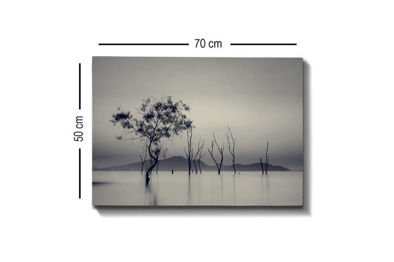 Canvastavla - Ensamstående träd i dimmig vattenlandskap - Svart / Grå / Vit - Inredning & dekor - Tavlor & konst - Canvastavla