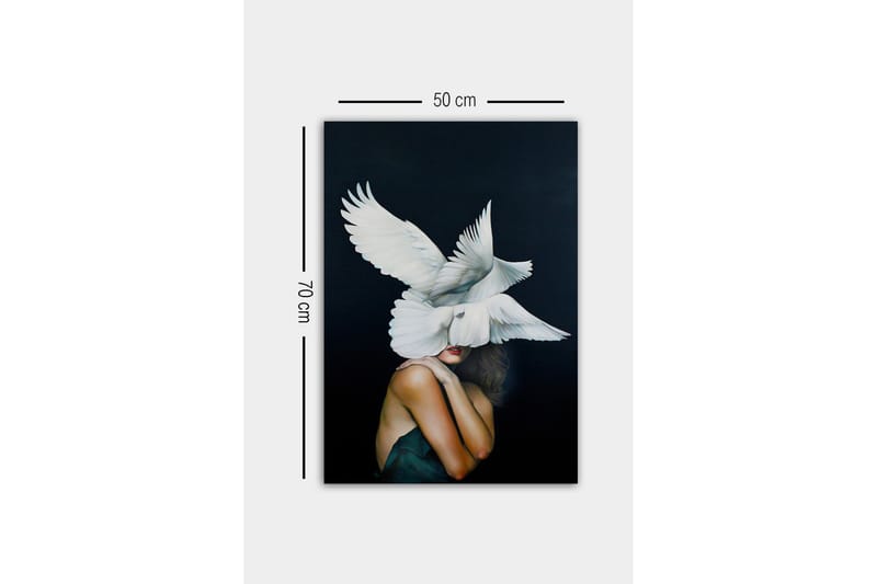 Canvastavla - Fåglar som svävar över en kvinna med en naken axel - Vit / Svart / Hudfärg - Inredning & dekor - Tavlor & konst - Canvastavla