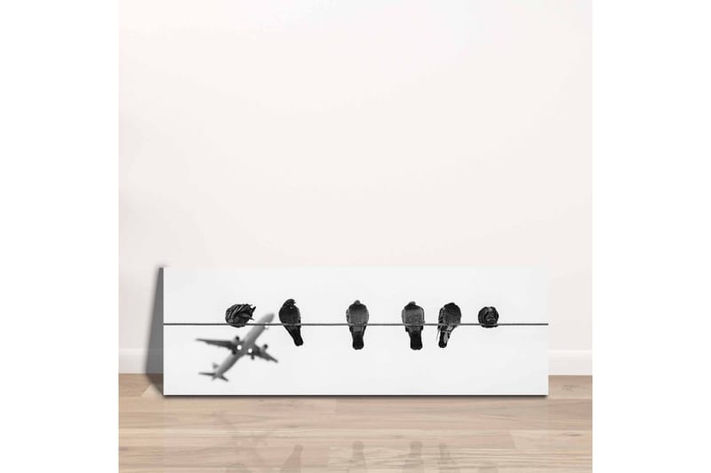 Canvastavla - Fåglar på en ledning med ett flygplan i bakgrunden - Svart / Vitt - Inredning & dekor - Tavlor & konst - Canvastavla