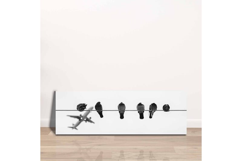 Canvastavla - Fåglar på en ledning med ett flygplan i bakgrunden - Svart / Vitt - Inredning & dekor - Tavlor & konst - Canvastavla