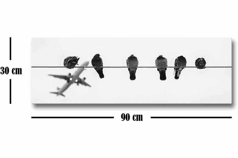 Canvastavla - Fåglar på en ledning med ett flygplan i bakgrunden - Svart / Vitt - Inredning & dekor - Tavlor & konst - Canvastavla