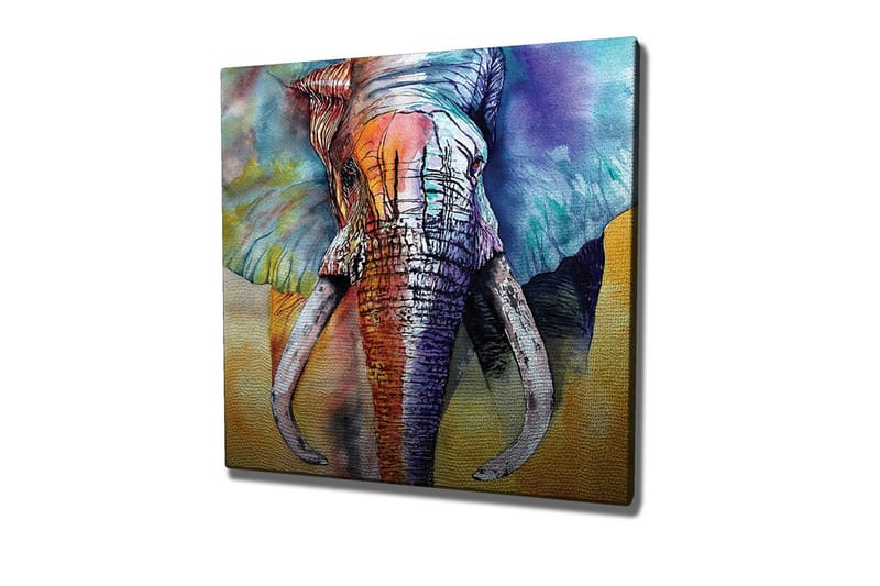 Canvastavla - Färgglad elefant med abstrakt bakgrund, Blå / Orange / Grön