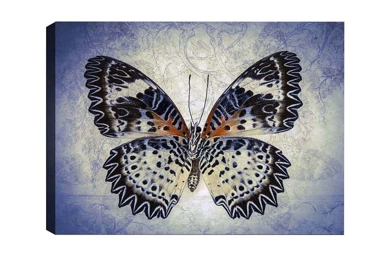 Canvastavla - Färgglad fjäril med detaljerade vingar - Blå / Svart / Orange - Inredning & dekor - Tavlor & konst - Canvastavla