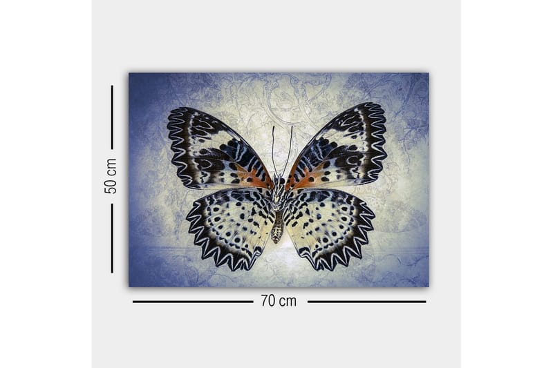 Canvastavla - Färgglad fjäril med detaljerade vingar - Blå / Svart / Orange - Inredning & dekor - Tavlor & konst - Canvastavla