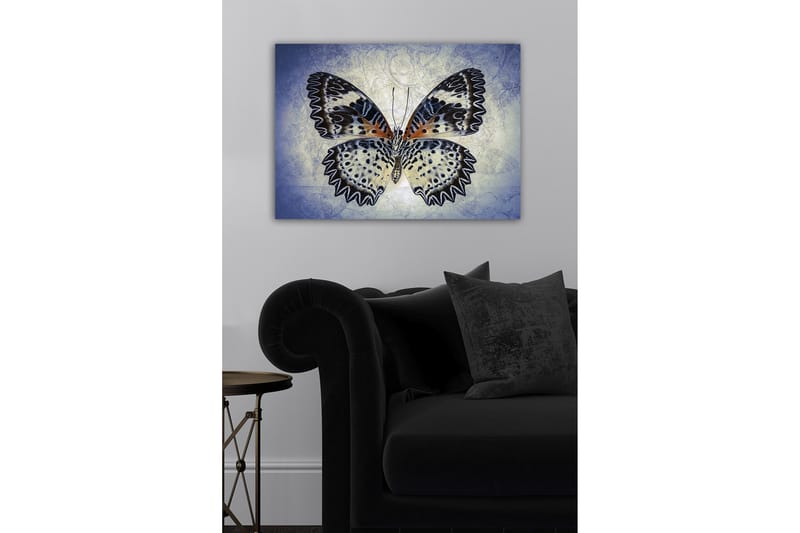 Canvastavla - Färgglad fjäril med detaljerade vingar - Blå / Svart / Orange - Inredning & dekor - Tavlor & konst - Canvastavla