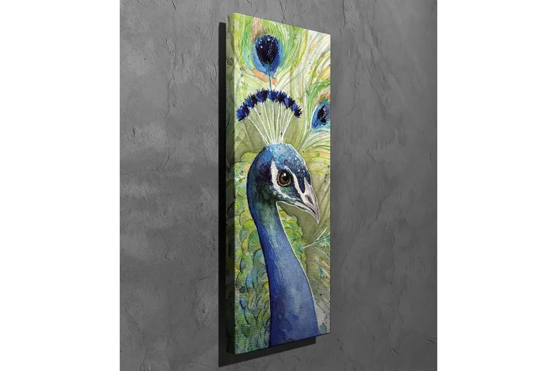 Canvastavla - Färgglad påfågel med utsmyckad fj äderdräkt - Blå / Grön / Svart - Inredning & dekor - Tavlor & konst - Canvastavla