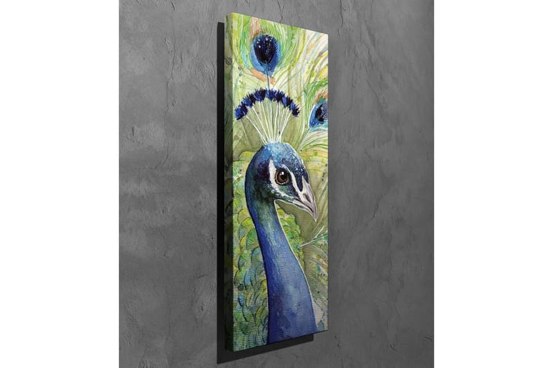 Canvastavla - Färgglad påfågel med utsmyckad fjäderdräkt - Blå / Grön / Svart - Inredning & dekor - Tavlor & konst - Canvastavla