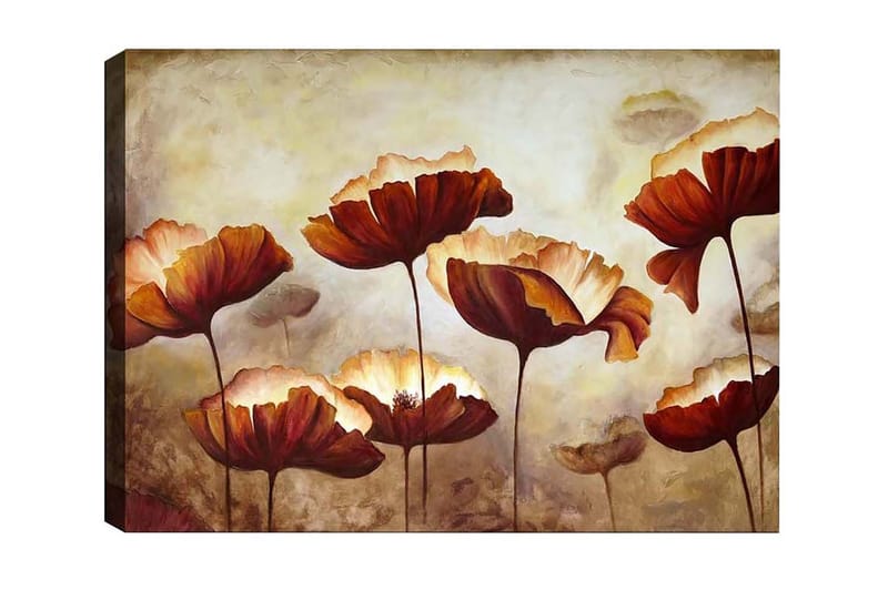 Canvastavla - Färgrik blomsteräng med stora, öppna blommor - Mörkröd / Orange / Beige - Inredning & dekor - Tavlor & konst - Canvastavla