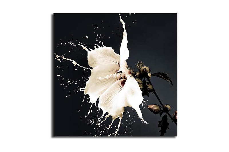 CANVASTAVLA Flerfärgad 45x45 cm - Inredning & dekor - Tavlor & konst - Canvastavla