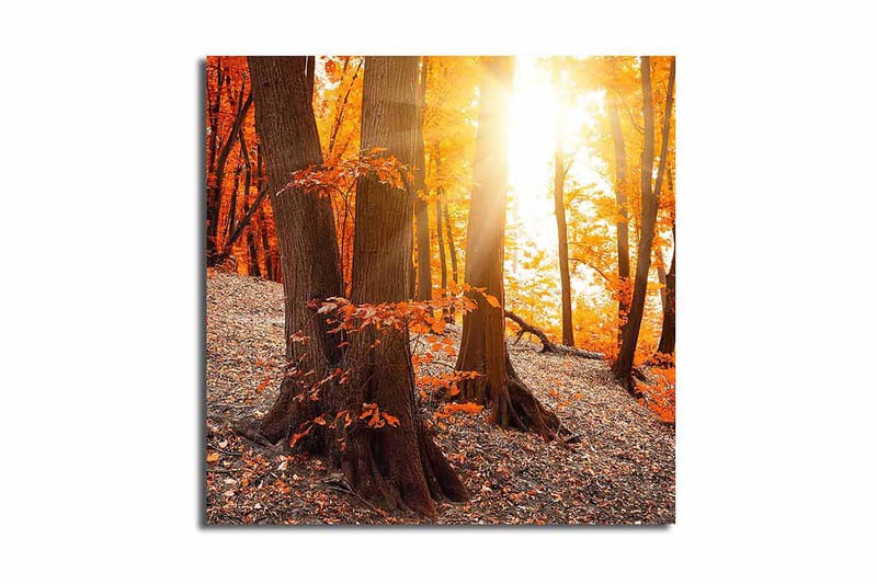 Canvastavla Flerfärgad - 45x45 cm - Inredning & dekor - Tavlor & konst - Canvastavla